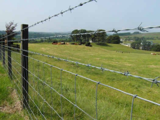 Hot sell high quality 14x14 16x14 galvanized barbed wire