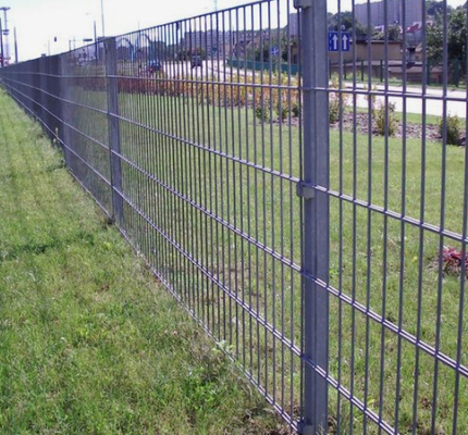 Square Galvanized Welded Wire Mesh Double  wire  Fencing Width 0.9-2.5m  pvc coated wire mesh fence